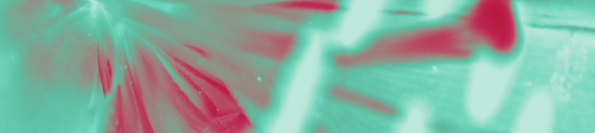 fleur_8_v3_min.png
